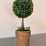 Appartement Moderno Con Giardino