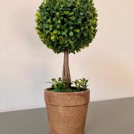 Apartman Moderno Con Giardino